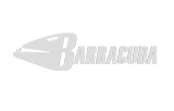 barracuda networks